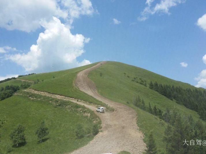 沽源老掌沟图片