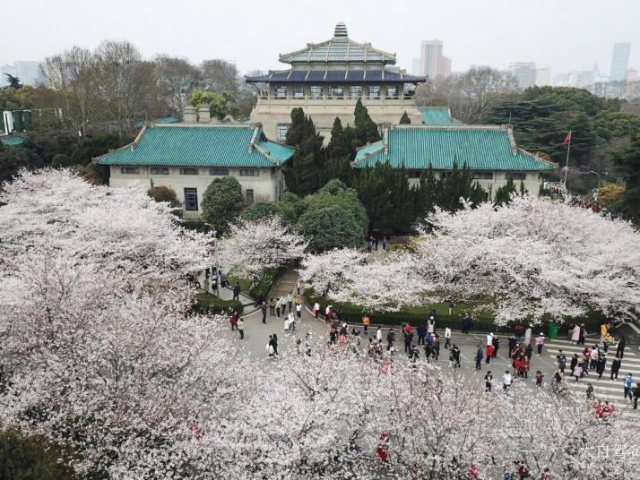 武汉武汉大学图片