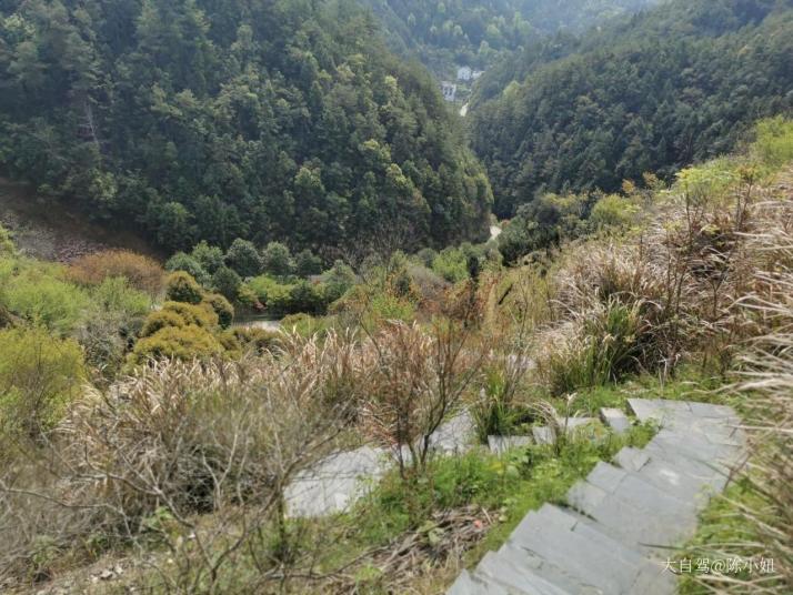 歙县卖花渔村图片