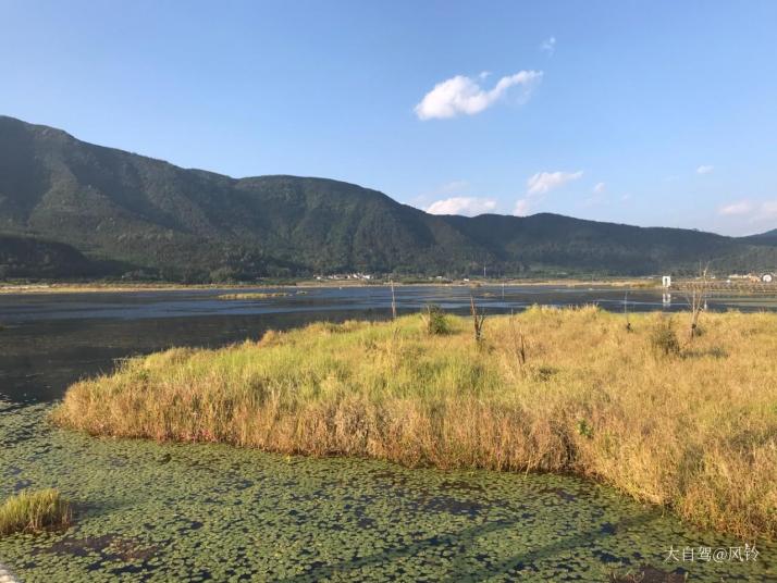 腾冲北海湿地景区图片