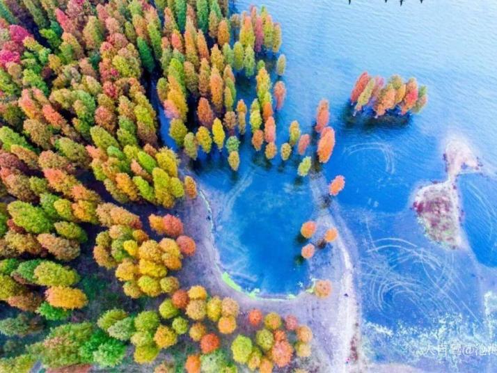 余姚四明湖水杉湿地好玩吗