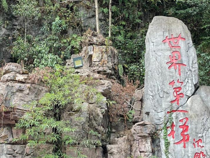 张家界百龙天梯好玩吗