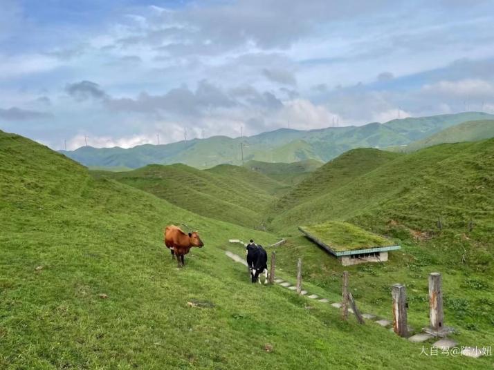 城步南山牧场高山红哨好玩吗