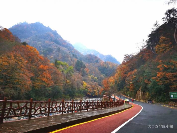 四川米仓山国家森林公园好玩吗