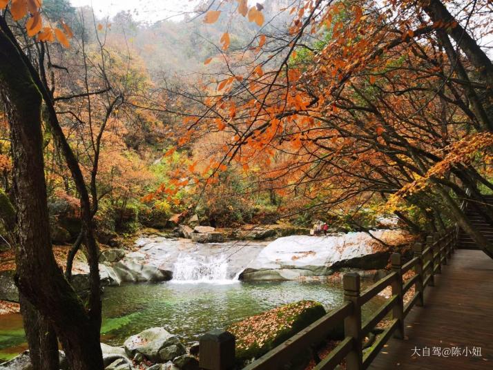 四川米仓山国家森林公园图片