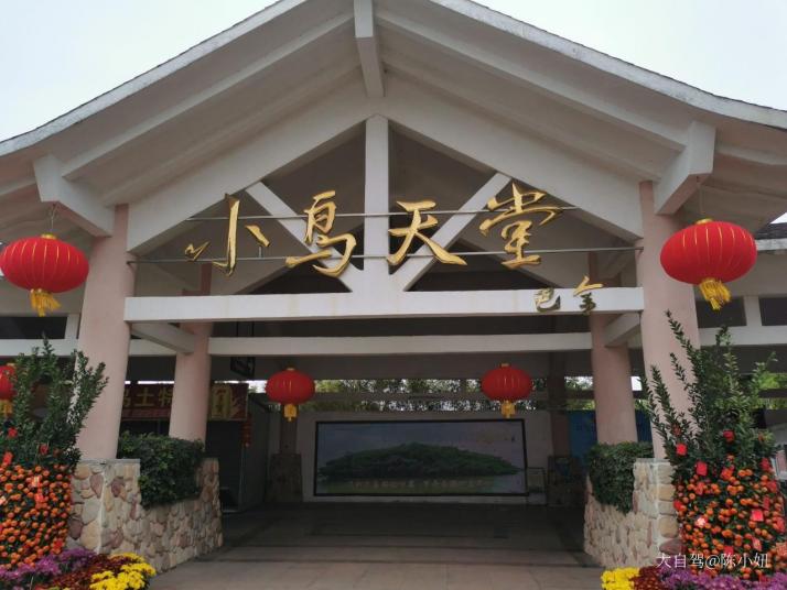 江门小鸟天堂