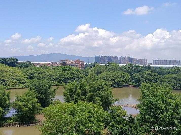 江门小鸟天堂好玩吗