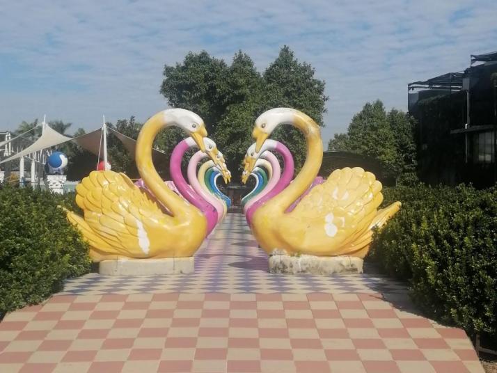 广州百万葵园图片