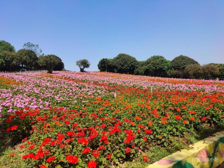 东莞梦幻百花洲主题景区好玩吗