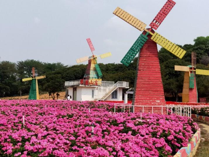 东莞梦幻百花洲主题景区图片