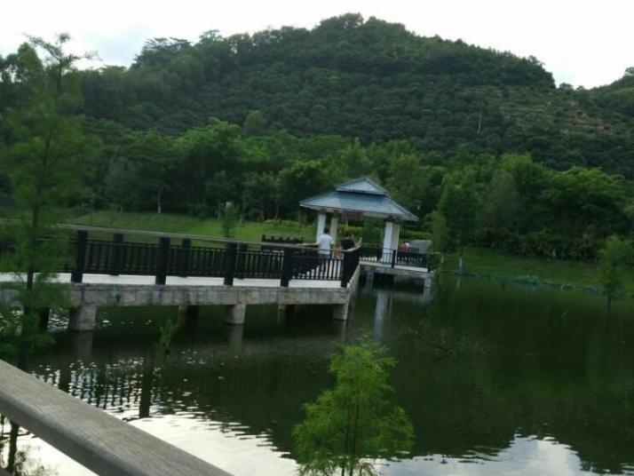 东莞虎门石洞森林公园图片