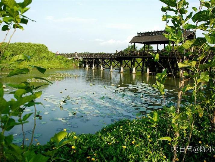 深圳海上田园旅游区