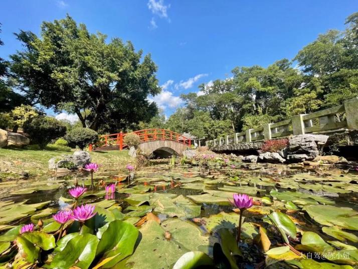 深圳仙湖植物园