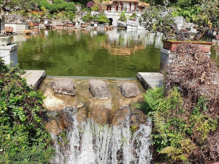 深圳仙湖植物园图片
