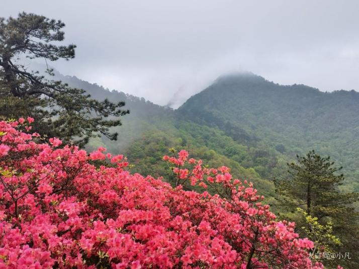 麻城龟峰山景区好玩吗