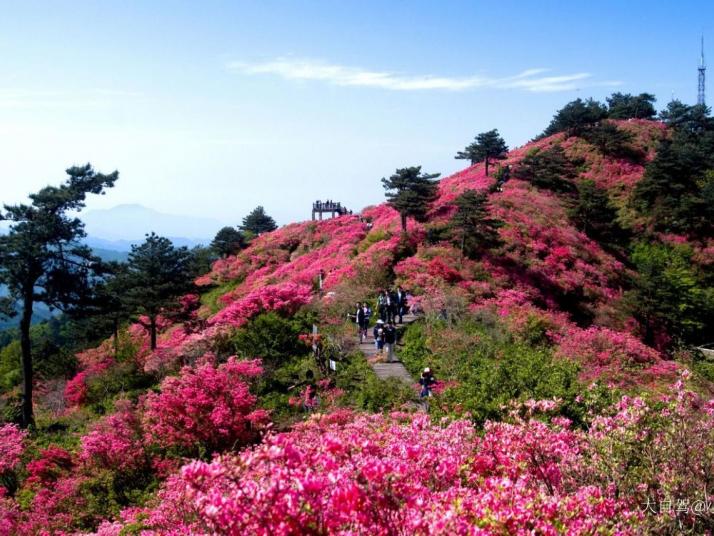 麻城龟峰山景区图片