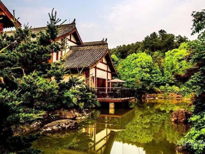 重庆铁山坪森林公园好玩吗