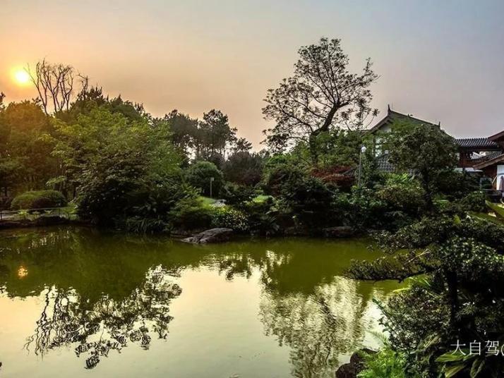 重庆铁山坪森林公园图片