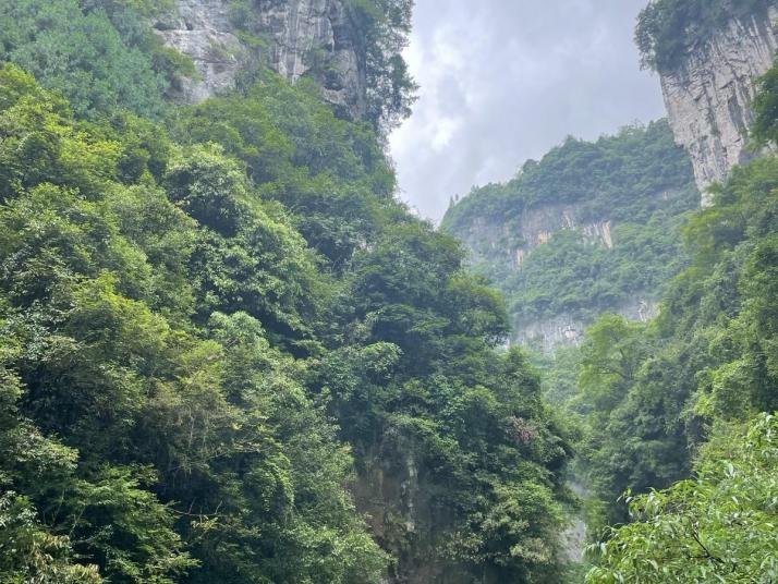 武隆龙水峡好玩吗