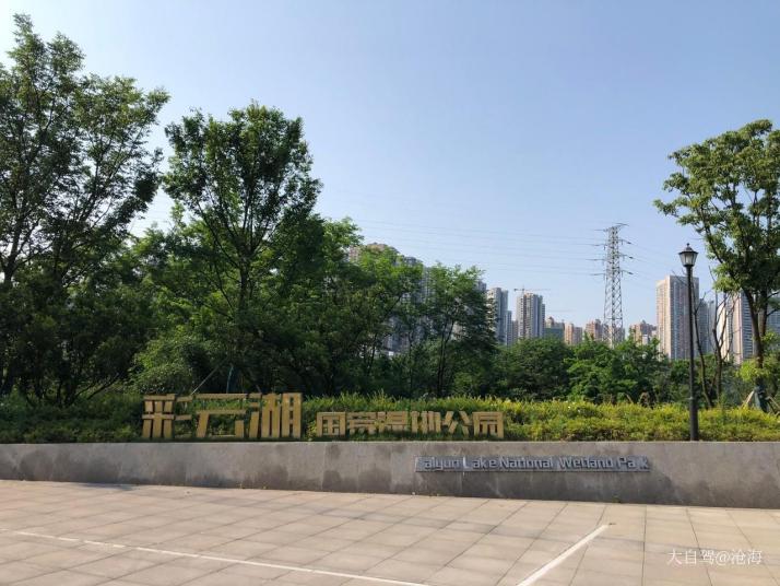 重庆彩云湖湿地公园