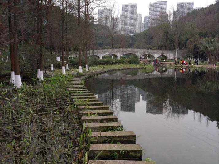 重庆彩云湖湿地公园好玩吗
