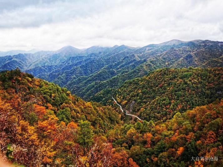城口重庆大巴山好玩吗