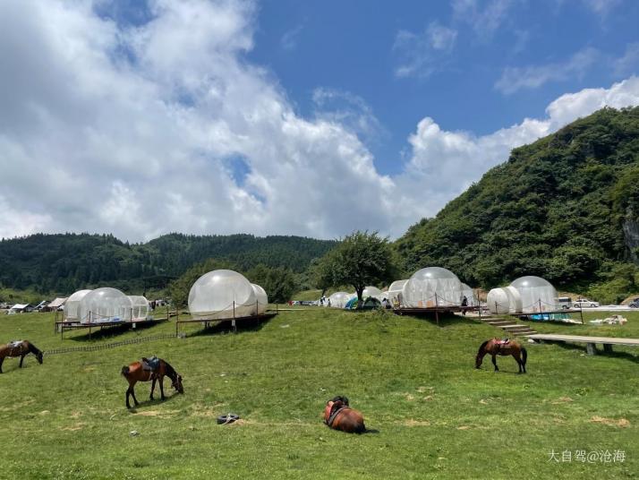 重庆南天湖景区图片