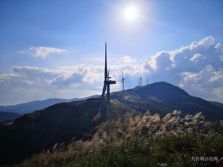 北流大容山莲花景区图片