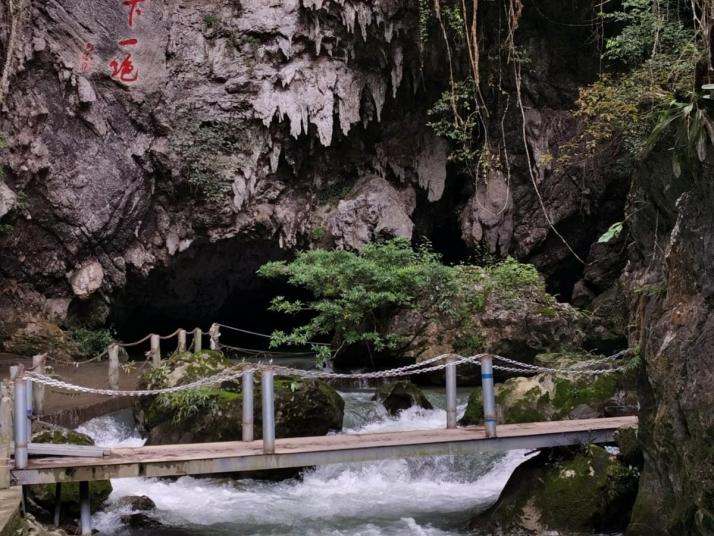 靖西古龙山大峡谷图片