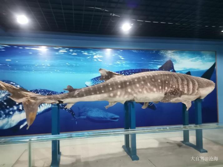 北海海洋之窗