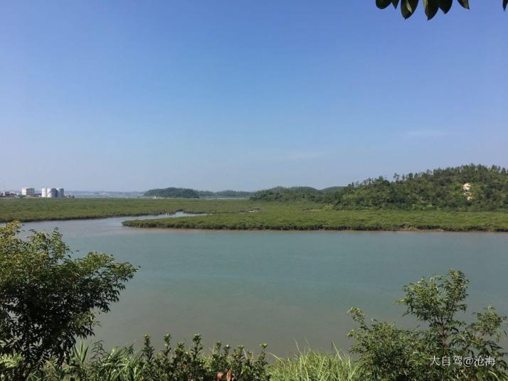 钦州仙岛公园好玩吗