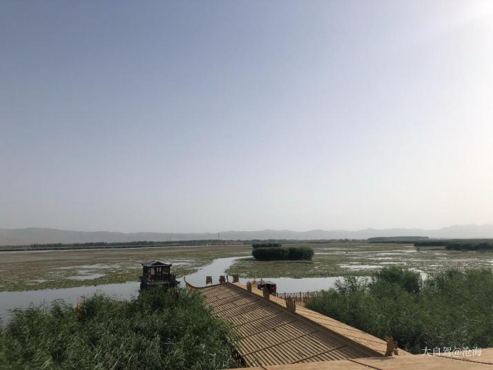 博湖博斯腾湖莲海世界图片