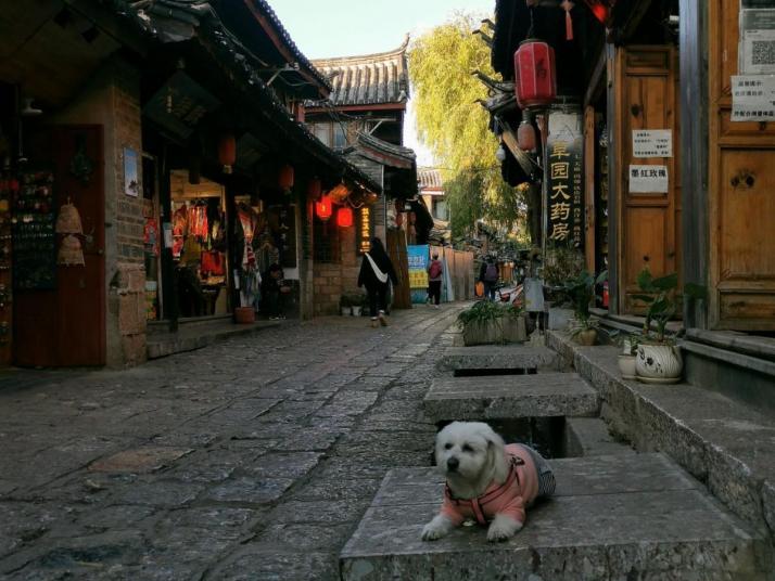 丽江束河古镇图片