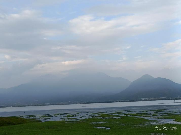 丽江拉市海湿地图片