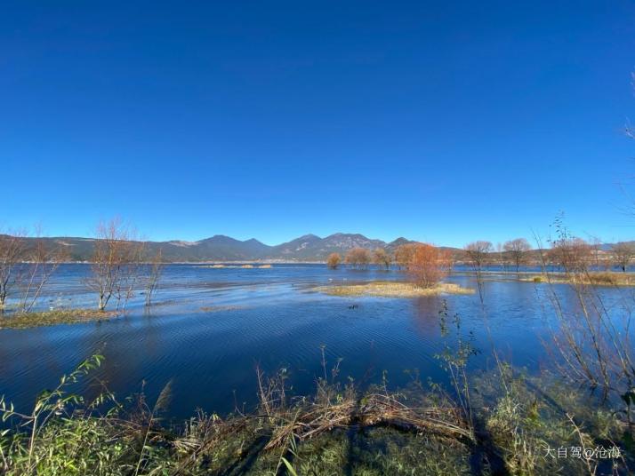 丽江拉市海湿地好玩吗