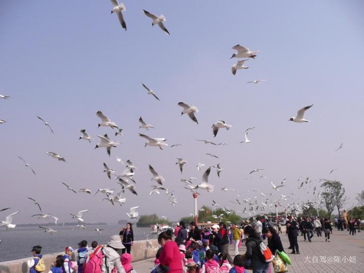 昆明海埂公园图片