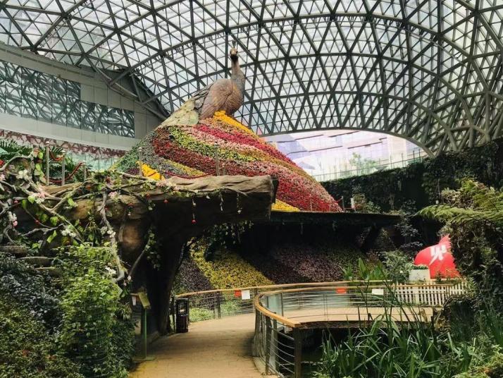 昆明昆明花之城