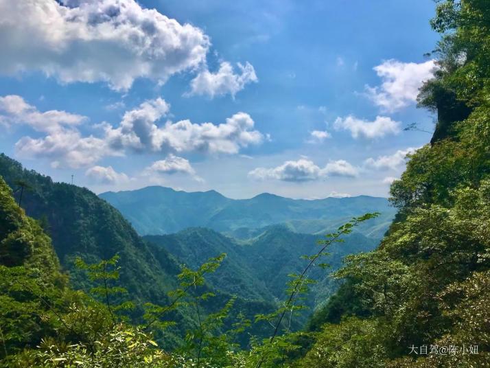 丽水神龙谷景区好玩吗