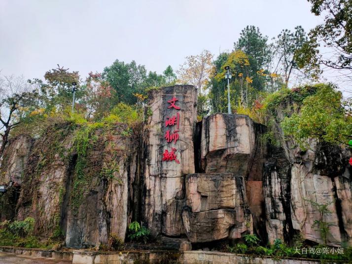 杭州文渊狮城