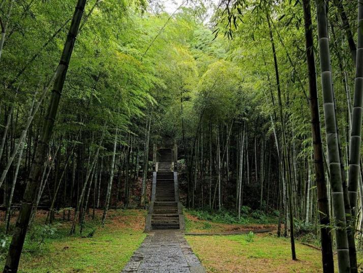 浦江仙华山风景区好玩吗
