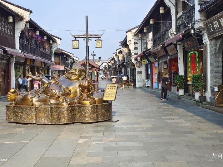 杭州清河坊街图片