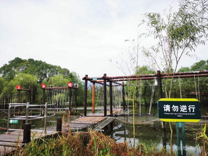 湖州太湖图影湿地文化园图片