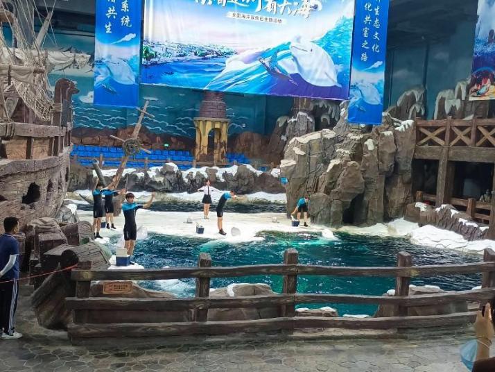 杭州杭州长乔极地海洋公园图片