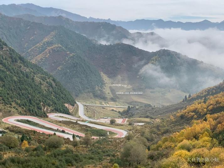 互助青海北山林场图片