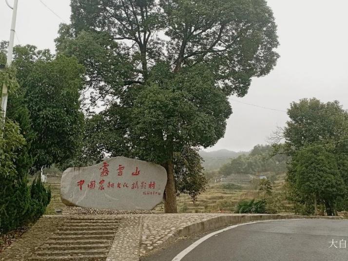 蕲春雾云山梯田图片