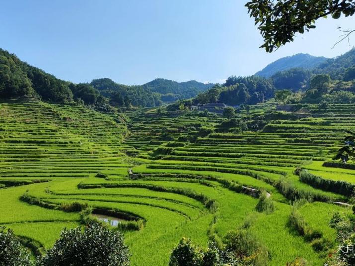 蕲春雾云山梯田