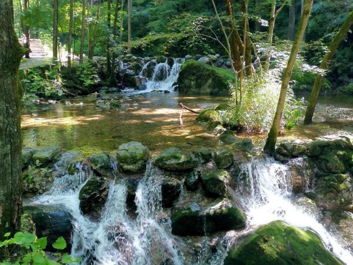 柞水牛背梁西沟峡