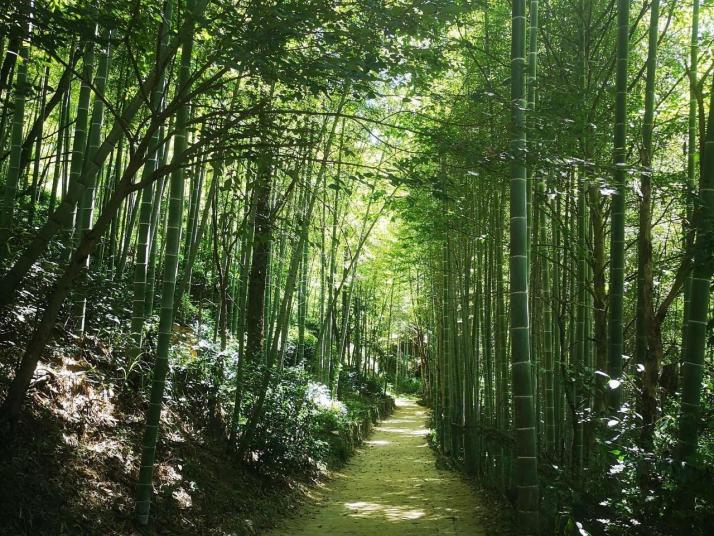 岳西大别山彩虹瀑布
