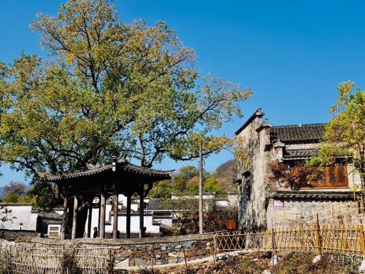 黟县塔川村