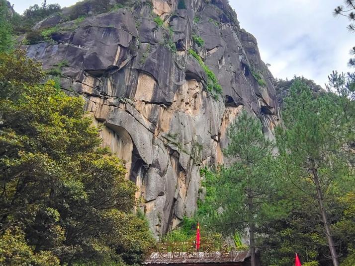 林芝 卡定沟景区好玩吗